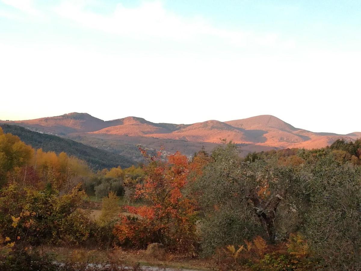 Podere di Maggio - Glamping tent 3 Santa Fiora Esterno foto