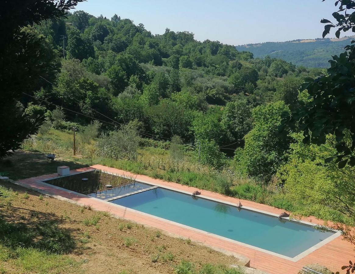 Podere di Maggio - Glamping tent 3 Santa Fiora Esterno foto